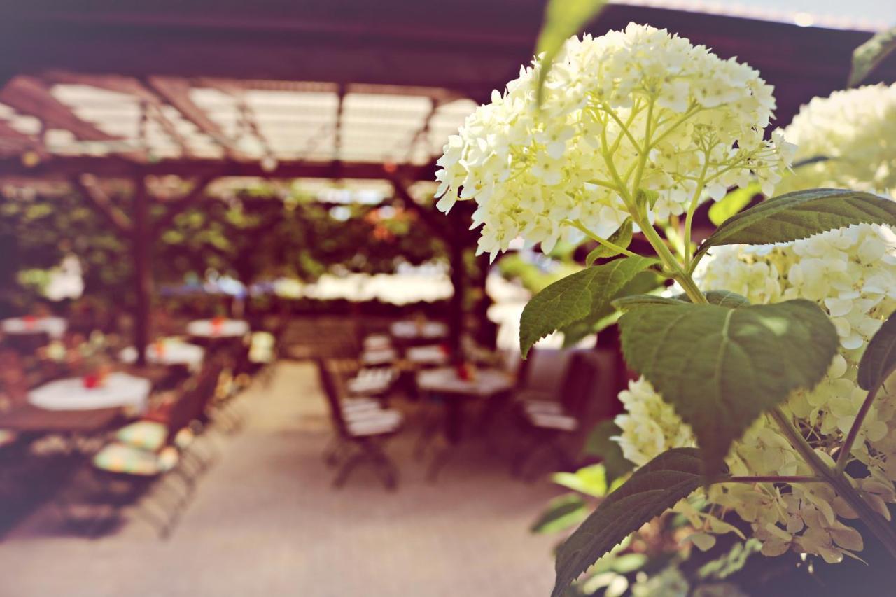 Landhotel Krausnick Ngoại thất bức ảnh